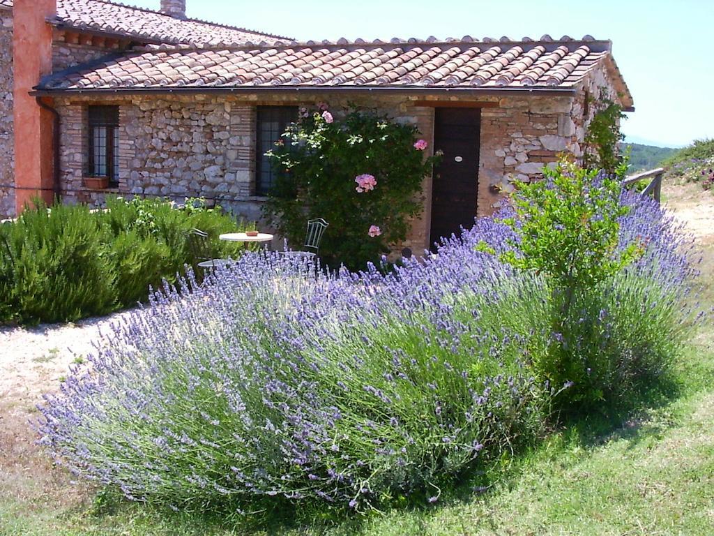 Podere Costa Romana Νάρνη Εξωτερικό φωτογραφία