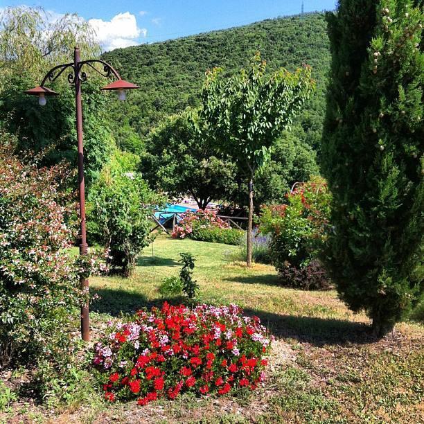 Podere Costa Romana Νάρνη Εξωτερικό φωτογραφία